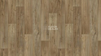 Линолеум Tarkett Весна KADET_5 фото 1 | FLOORDEALER